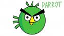 58407_parrot.