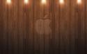 58558_ws_Wood_Apple_1680x1050.