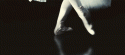 58577_tumblrl7bms8hgol1qzyp6z.