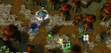 58872_51_21-52_06_sentinel_top_t2.