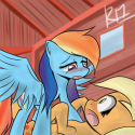 5894rainbow_dash__what_are_yo____by_wingsoffox-d4ncxv6.