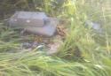 5894tanki_na_prirode.
