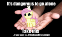 589800px-MLP_GlobalMemes_040.