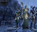 59071_Elder_Scrolls_Tamriel_Unlimited_650.