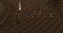 59071_Shot00066111.