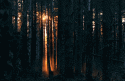 590tumblr_lhb9ux3ipk1qf1oxoo1_500.