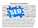 59112_Top_Seo_Consultant.