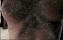 59115_SalmaHayekFrida.
