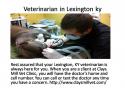 59147_Veterinarian_in_Lexington_ky.