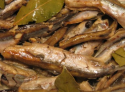 5915_rubaj_konserva.