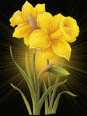 59167_Narcissy-4.