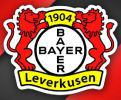 59234_bayer.