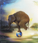 59275_elephant.