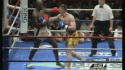 5928_ernesto_hoost_low_kick_2.