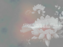 59320_5tx_by_carllton.