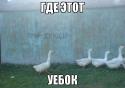5936_Opnle5F5Kyk.