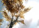 59377_2013-03-09_00001.