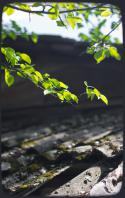 5951IMG_2606web2.