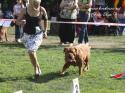 5955IMG_3121.