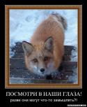 59600_1286996314_rcapkey6df4o.