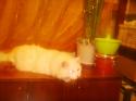 5966_Foto1728.