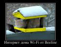 59909212_internet-doma-wi-fi-ot-beeline_demotivators_ru.