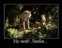 59976_BiWPDQmrths.
