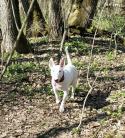 60015_2015-03-27_10_13_52.