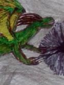 60043_photo-177748.