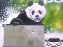 60195_my_panda.