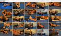 60227_SkRen.