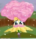 6024my-little-pony-friendship-is-magic-brony-the-awesome-and-wise-fluttertree.