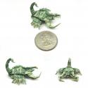 6028New_pics__Dollar_Scorpion_by_orudorumagi11.