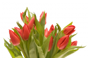 60313_0_7f766_40f80c5c_XL.