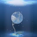 60383_x_86feaab6.
