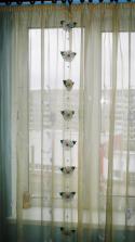 60529_SDIM0958.
