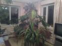 6054Foto0137.