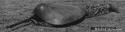 60588_6330638.