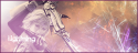 6060Lightning.