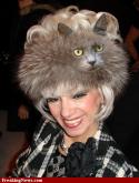 6060Woman-in-Cat-Hat-66706.