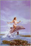 60672_dolphin-dreams-artfond.