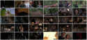 60686_Timber_Falls_2007_HDRip_SFC555.