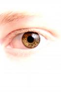 60702_eye.