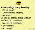 60702_humor_moto.