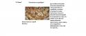 60712_Bezymyannyi.