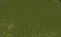 60763_Standard.