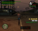 60848_gta_sa_2013-03-04_22-25-11-14.