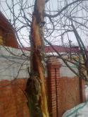 6089Foto1355.