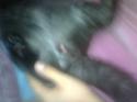 6105_Foto0538.