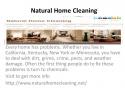 61065_Natural_Home_Cleaning.